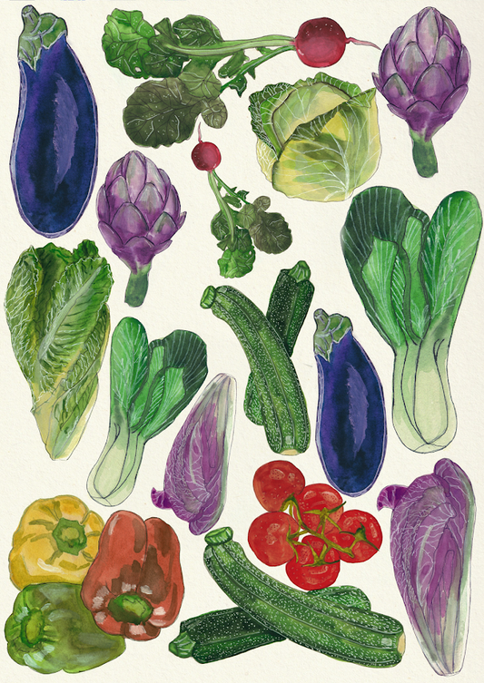 Légumes de saison à l’aquarelle